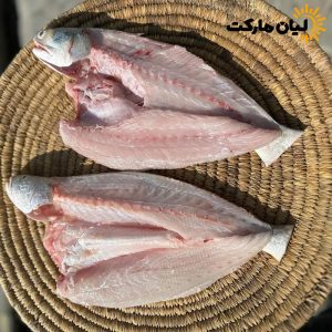 ماهی راشگو | بسته پنج کیلویی – صید تازه بوشهر